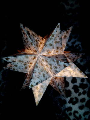 20 cm weiß mit gold Sterne (2)